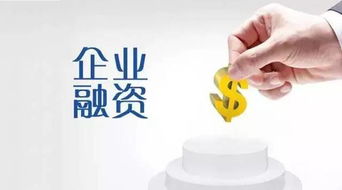 筑牢财务防线 如何避免财务成为公司持续经营的杀手